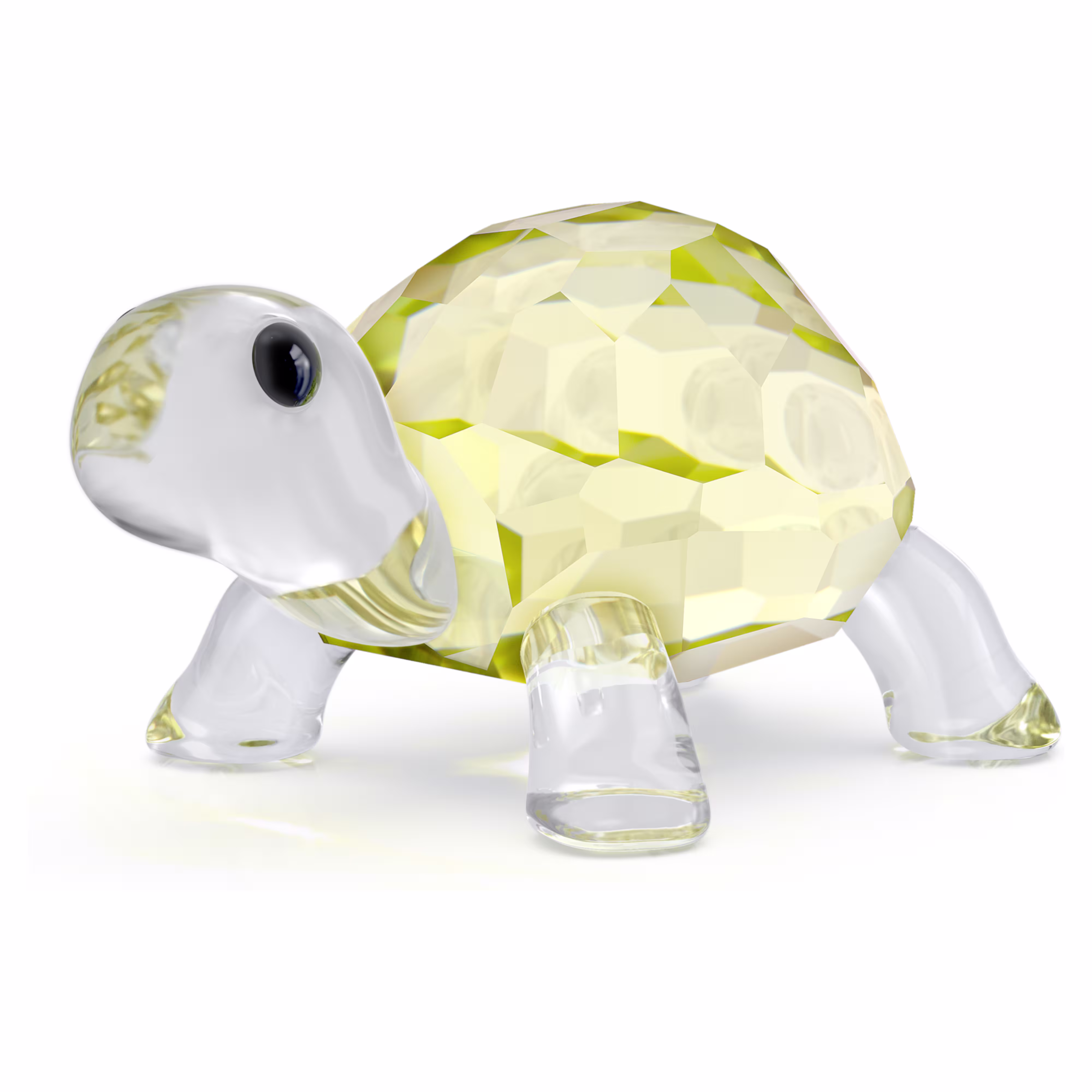 Tartaruga Swarovski 5721550